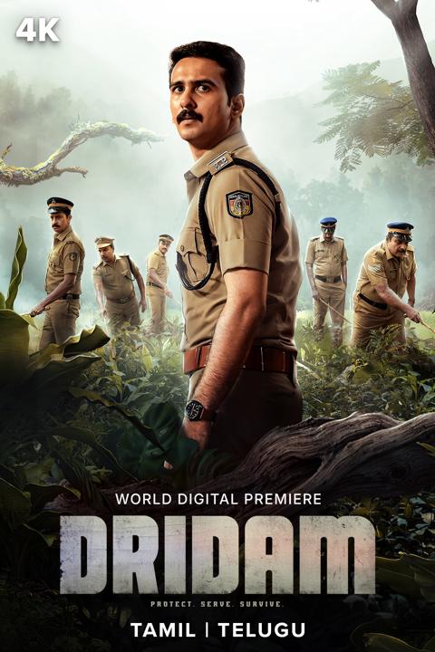 Dridam poster